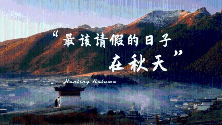 年味十足的《乡村爱情16》将袭,未播先火引热议,你是否也期待